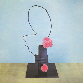 Methyl Ethel - Oh Inhuman Spectacle