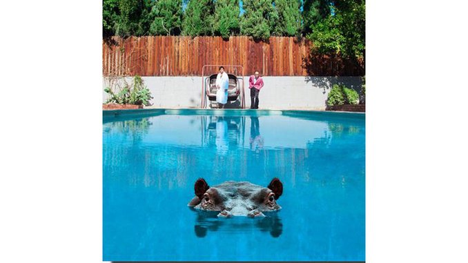 Sparks - Hippopotamus