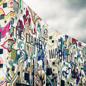 Dandy Warhols - Why You So Crazy