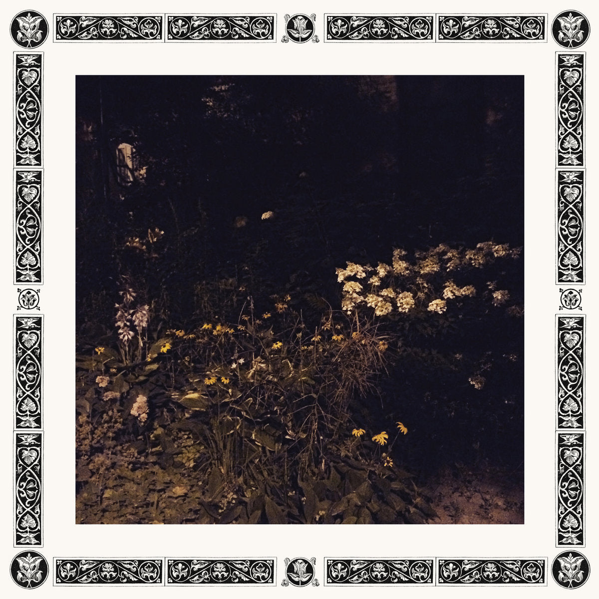 Davachi, Sarah - Pale Bloom
