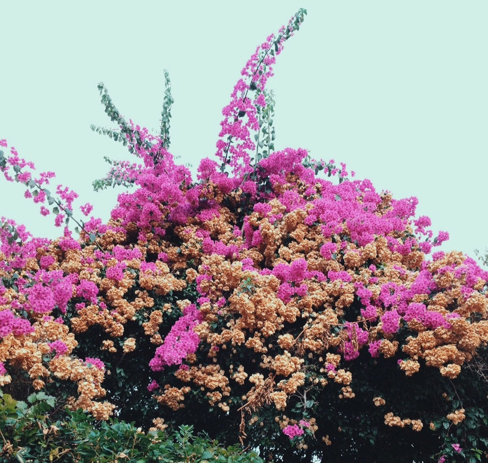 Jay Som - Turn Into