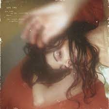 Ada Lea - One Hand On The Steering Wheel The Other Sewing a Garden (Wine Stain Vinyl)