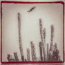 Escovedo, Alejandro - La Cruzada