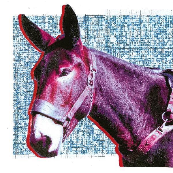 Protomartyr - Ultimate Success Today