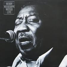 Muddy Waters - Muddy Mississippi Waters Live