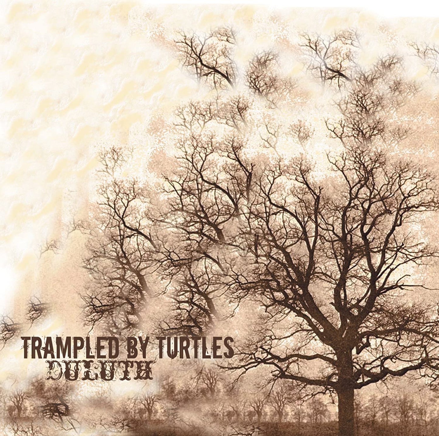 Trampled by Turtles - Duluth
