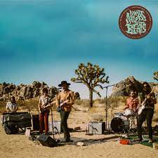 Night Beats - Levitation Sessions