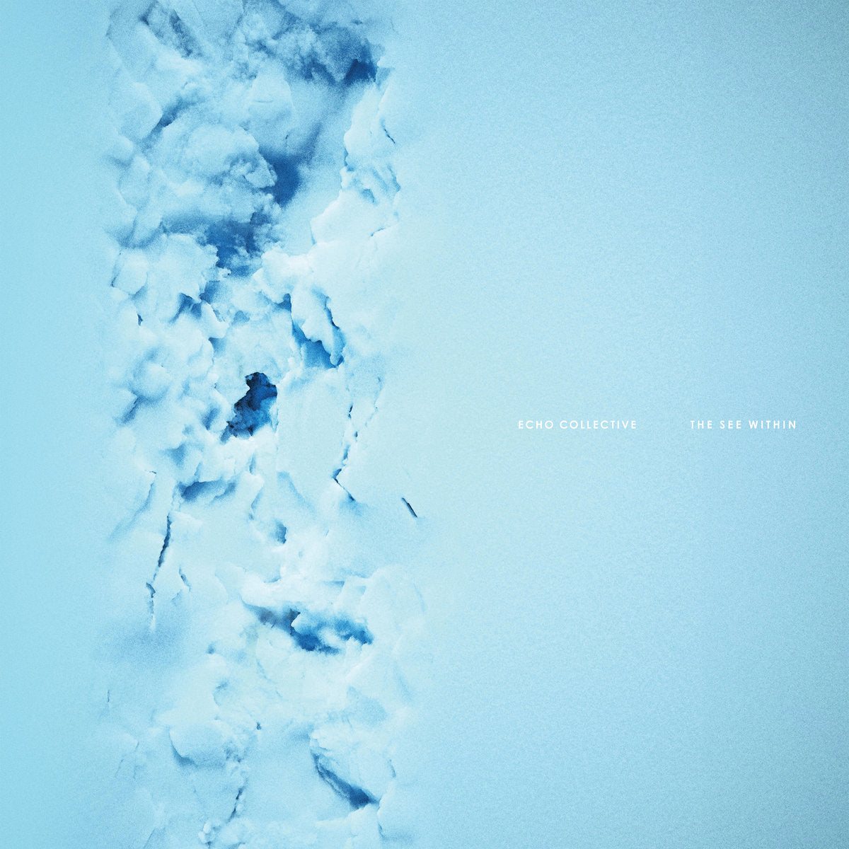 Echo Collective - The See Within