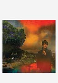 Van Etten, Sharon - We've Been Going About This All Wrong (Marble Smoke Vinyl)