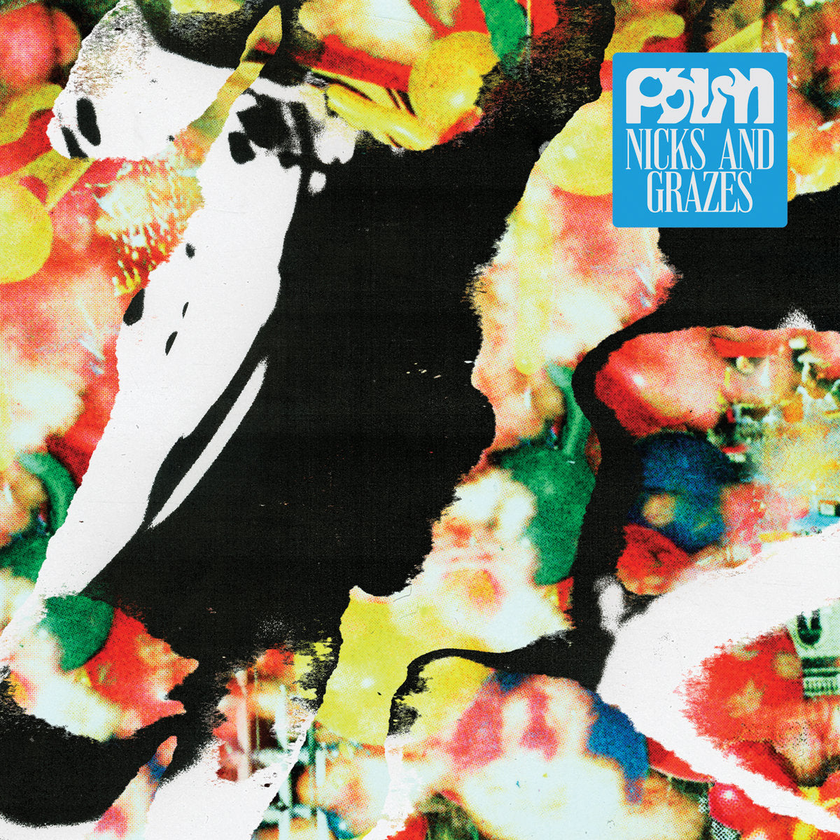 Palm - Nicks & Grazes (Dutch Orange)