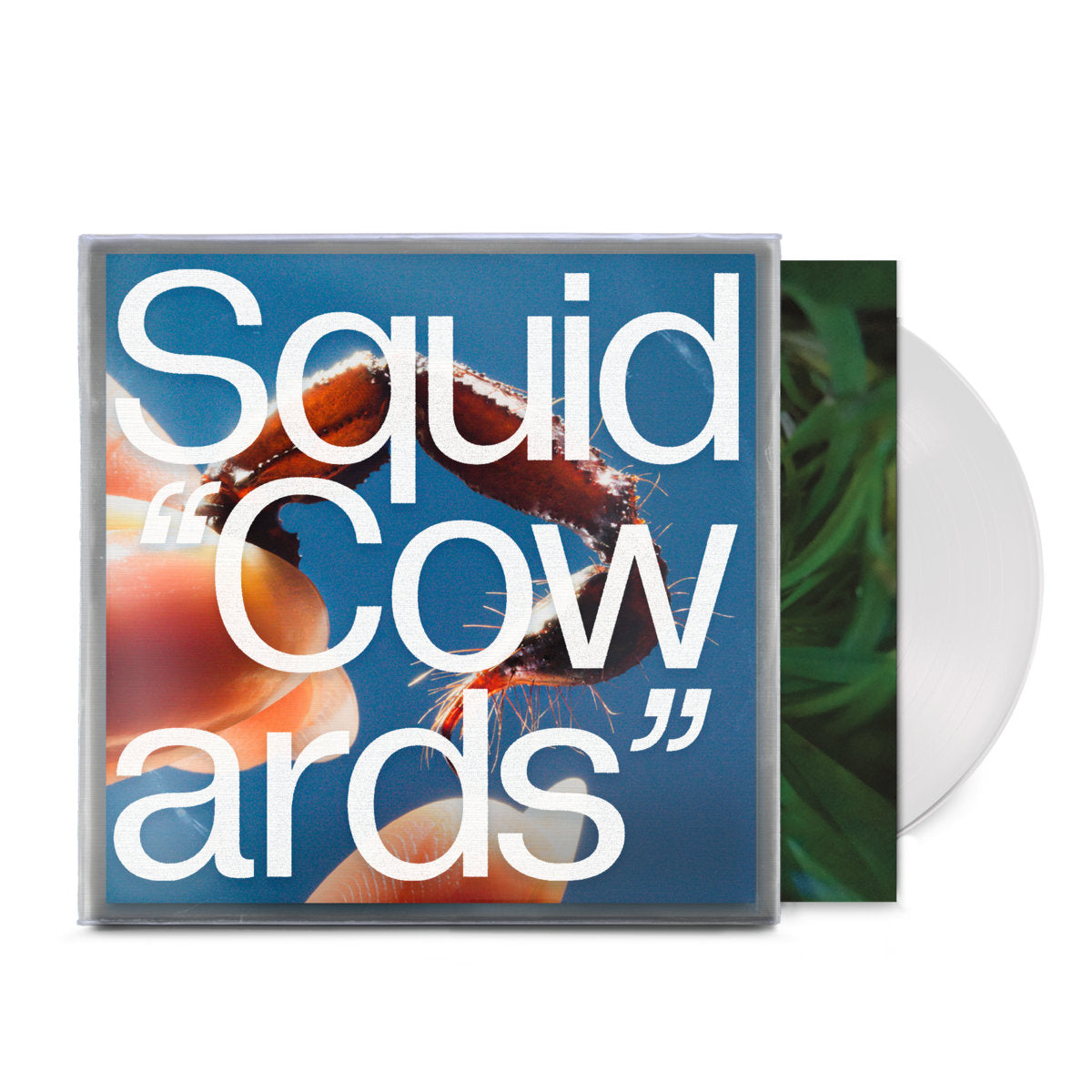 Squid - Cowards