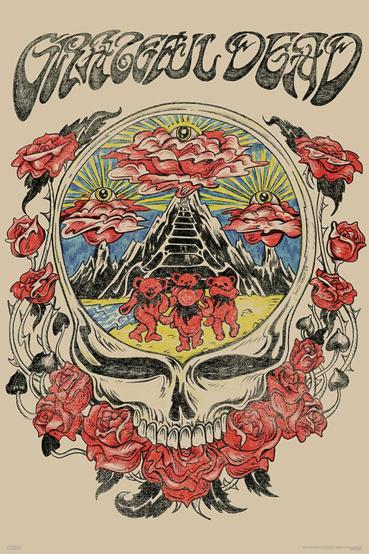 Grateful Dead Skull Vision Poster - 24" x 36"