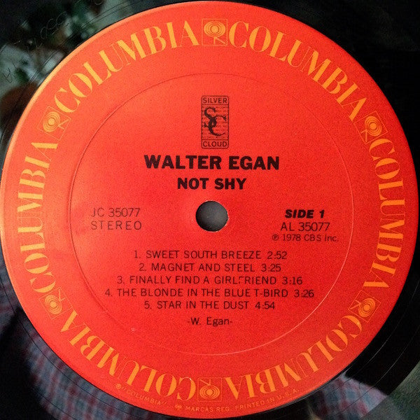 Walter Egan : Not Shy (LP, Album, San)