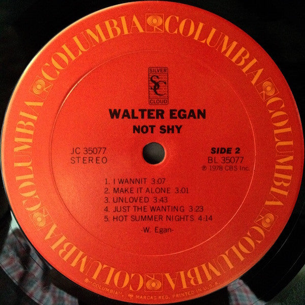 Walter Egan : Not Shy (LP, Album, San)