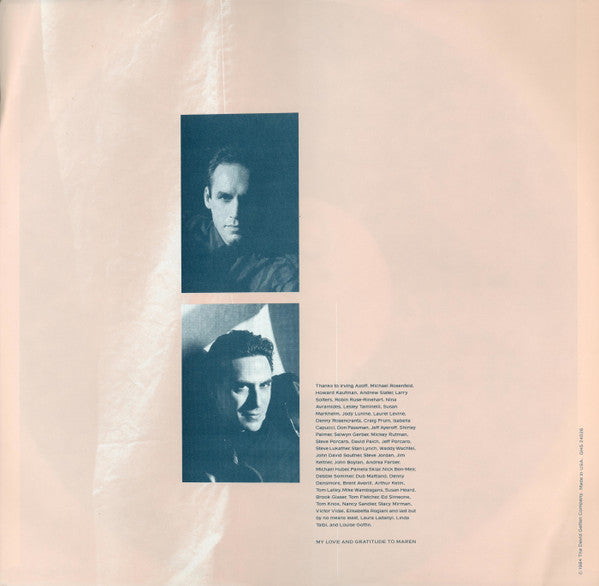 Don Henley : Building The Perfect Beast (LP, Album, Spe)