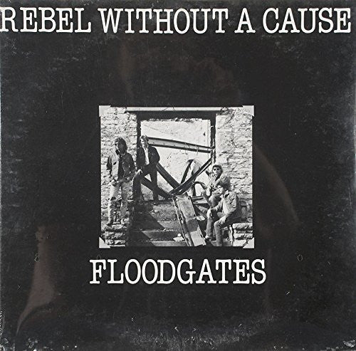 Rebel Without A Cause : Floodgates (12", EP)