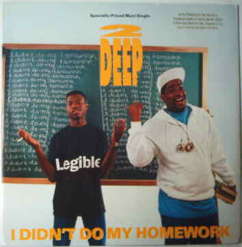 2 Deep (3) : I Didn't Do My Homework / Simply Done (12", Maxi)