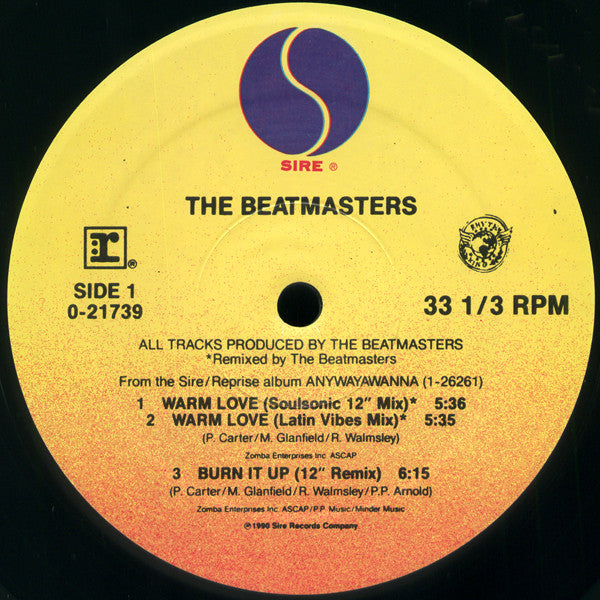 The Beatmasters Featuring Claudia Fontaine : Warm Love (12", Maxi)