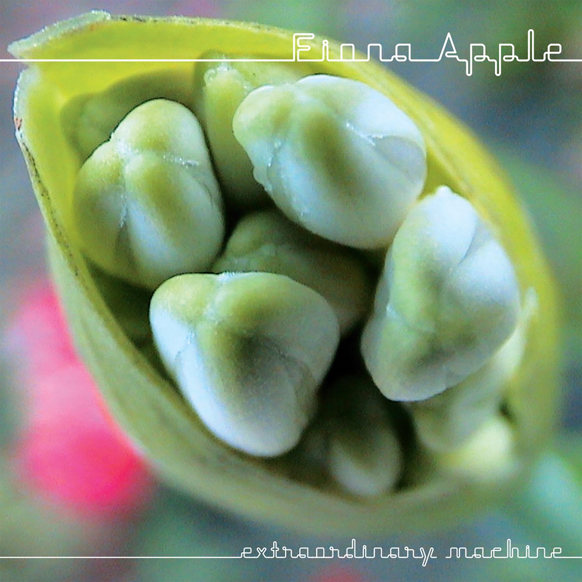 Apple, Fiona - Extraordinary Machine