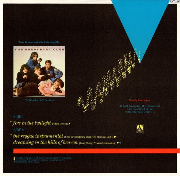 Wang Chung : Fire In The Twilight (12")
