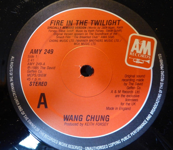 Wang Chung : Fire In The Twilight (12")