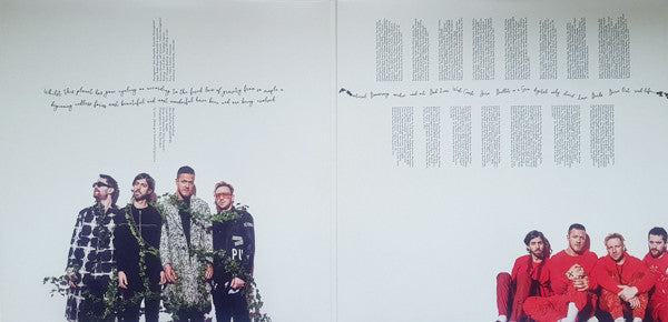 Imagine Dragons : Origins (2xLP, Album, 180)