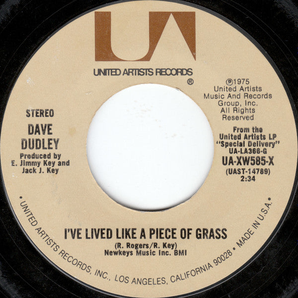 Dave Dudley : How Come It Took So Long (To Say Goodbye) (7", Single)