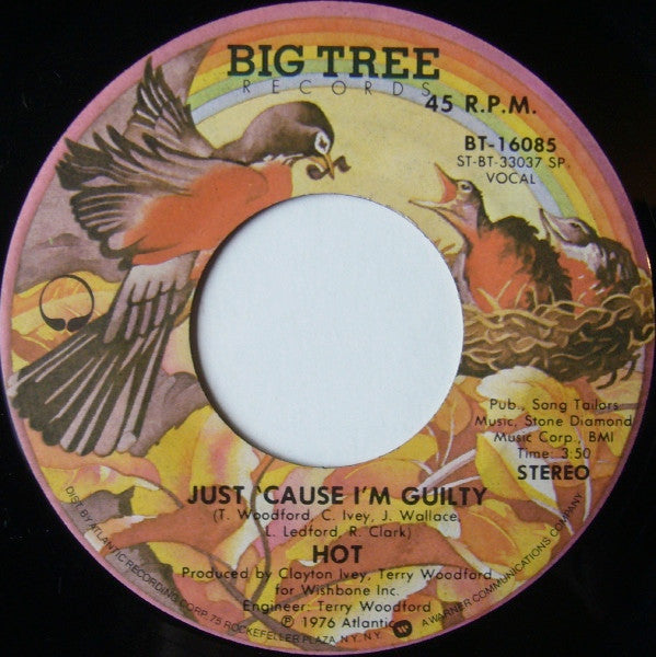 Hot : Angel In Your Arms (7", Single, Spe)