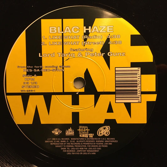 Blac Haze Featuring Lord Tariq & Peter Gunz : Like What (12", Single)