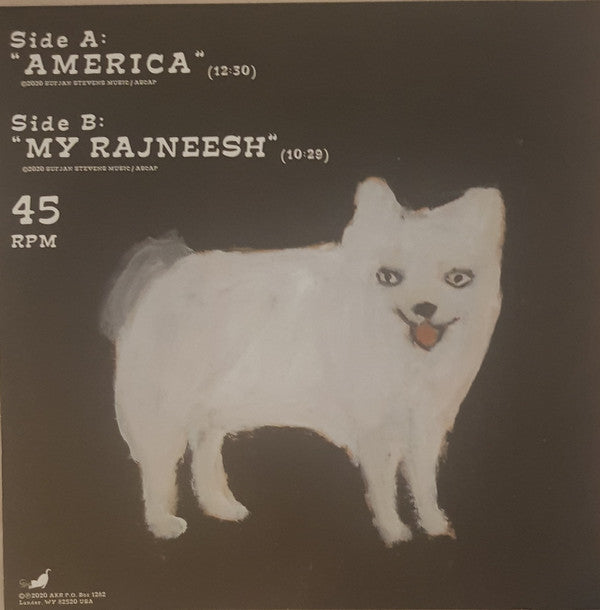 Sufjan Stevens : America (12", Single, Ltd)