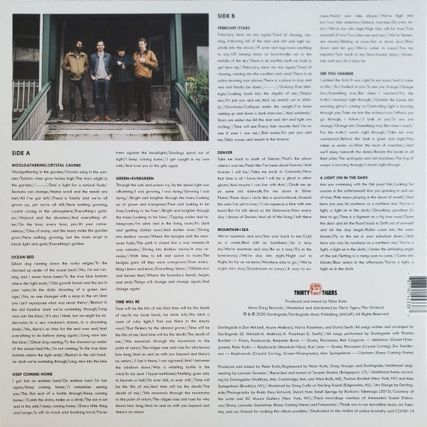 Darlingside : Fish Pond Fish (LP, Album, Club, Cle)