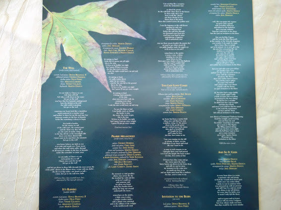 Jennifer Warnes : The Well (LP, RE)