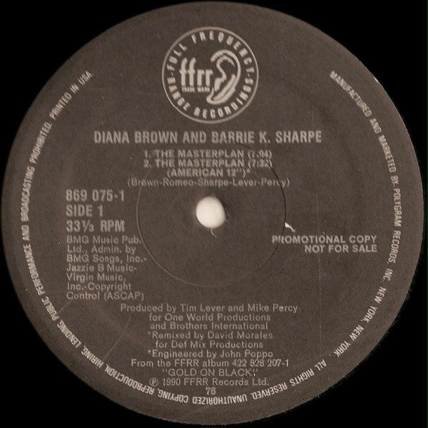 Diana Brown And Barrie K. Sharpe* : The Masterplan (12", Single, Promo)