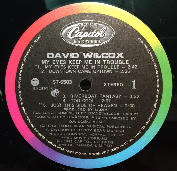 David Wilcox (2) : My Eyes Keep Me In Trouble (LP, Album)
