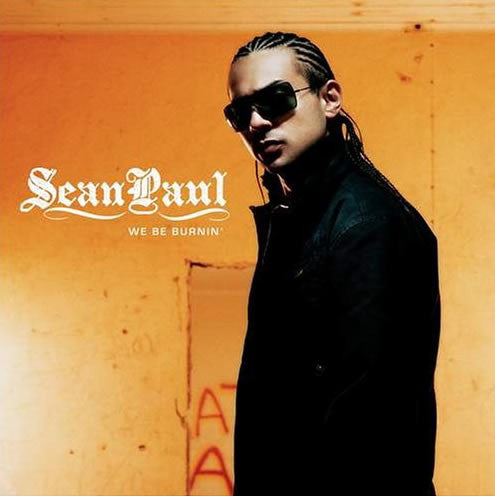 Sean Paul : We'll Be Burning (7")