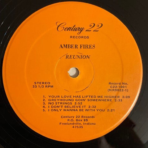 Amber Fires : Reunion (LP, Album)