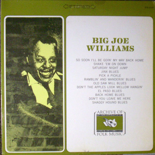 Big Joe Williams : Big Joe Williams (LP, Album)