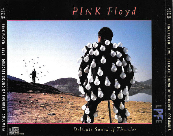 Pink Floyd : Delicate Sound Of Thunder (2xCD, Album, JVC)