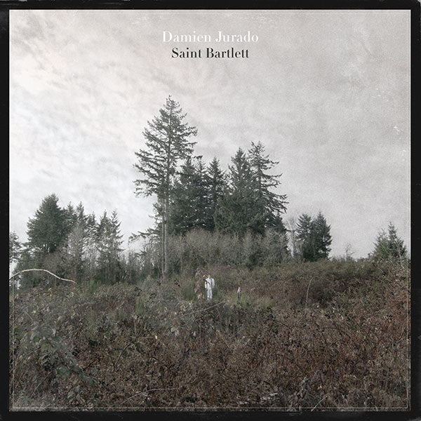 Damien Jurado : Saint Bartlett (LP, Album)