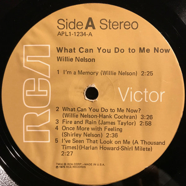 Willie Nelson : What Can You Do To Me Now (LP, Comp, Ind)