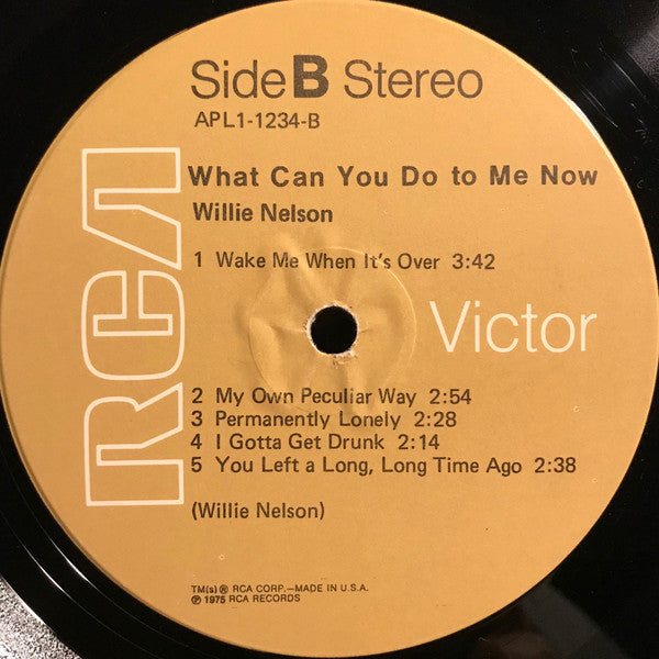 Willie Nelson : What Can You Do To Me Now (LP, Comp, Ind)
