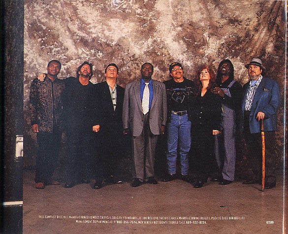 Various : A Tribute To Stevie Ray Vaughan (CD)