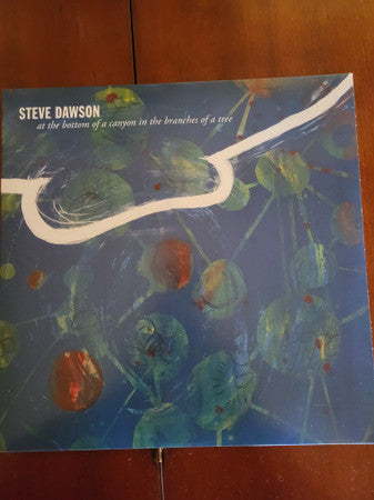 Steve Dawson (6) : At The Bottom Of A Canyon In The Branches Of A Tree (LP)
