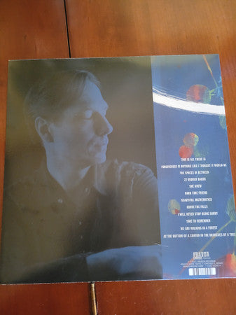 Steve Dawson (6) : At The Bottom Of A Canyon In The Branches Of A Tree (LP)