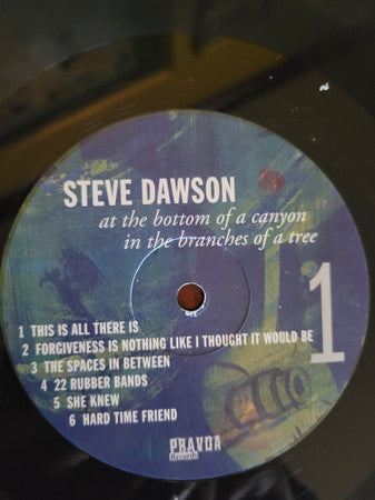 Steve Dawson (6) : At The Bottom Of A Canyon In The Branches Of A Tree (LP)