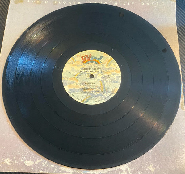 Robin Trower : Long Misty Days (LP, Album, Ter)