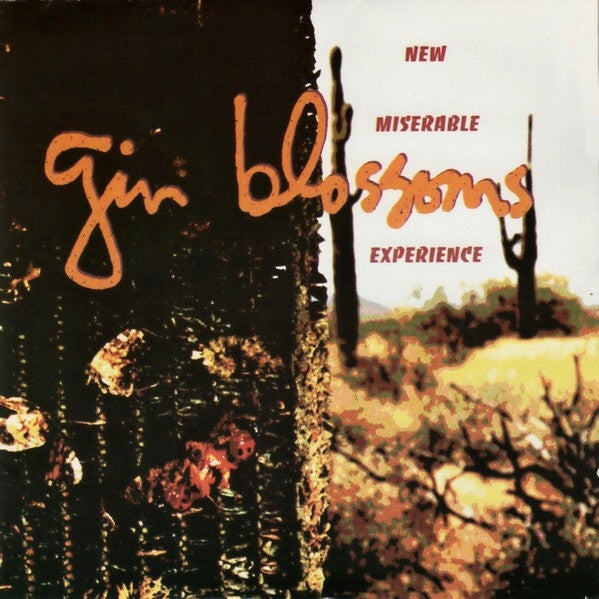 Gin Blossoms : New Miserable Experience (CD, Album, DAD)