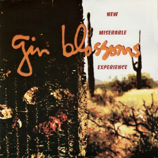 Gin Blossoms : New Miserable Experience (CD, Album, DAD)