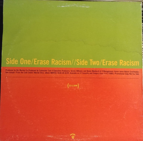 Kool G. Rap & DJ Polo* : Erase Racism (12", Promo)
