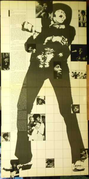 Sly And The Family Stone* : Anthology (2xLP, Comp, Ter)